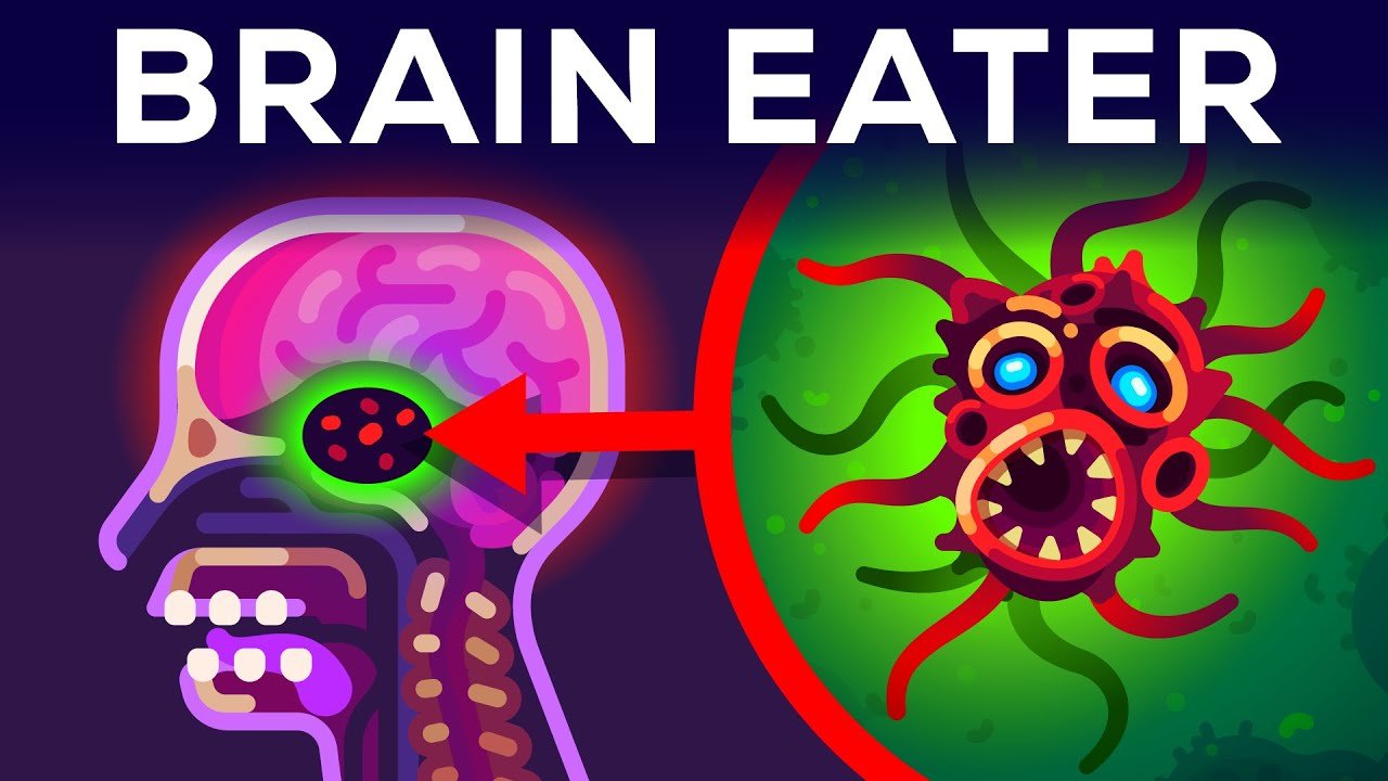 Brain-Eating Amoeba