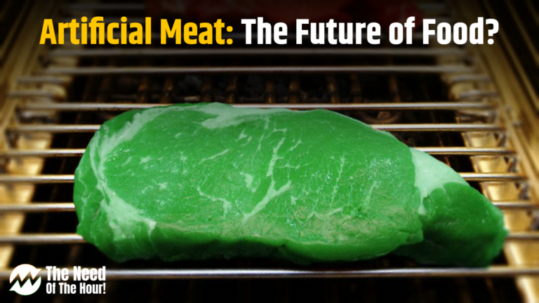 Artificial Meat: The Future of Food?