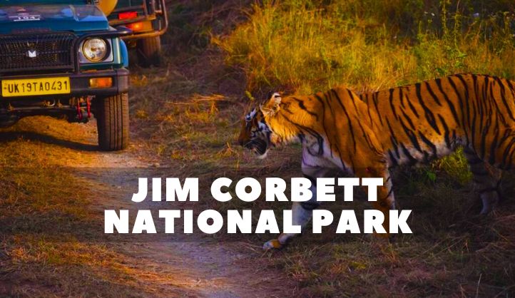 Jim Corbett National Park