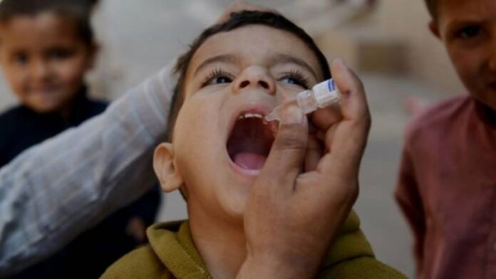 Taliban Halts Polio Vaccine Campaign