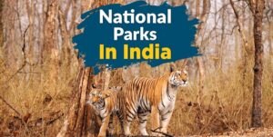 National Parks in India