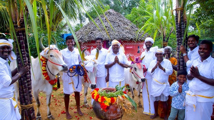 Pongal